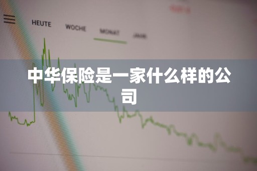 中华保险是一家什么样的公司