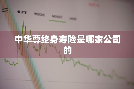 中华尊终身寿险是哪家公司的