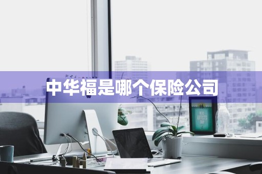 中华福是哪个保险公司