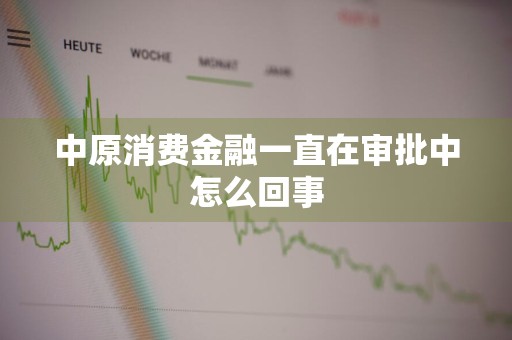 中原消费金融一直在审批中怎么回事