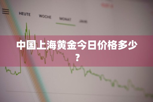中国上海黄金今日价格多少？