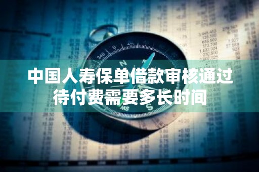 中国人寿保单借款审核通过待付费需要多长时间