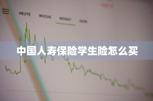 中国人寿保险学生险怎么买