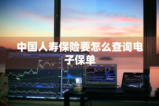 中国人寿保险要怎么查询电子保单