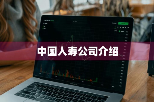 中国人寿公司介绍