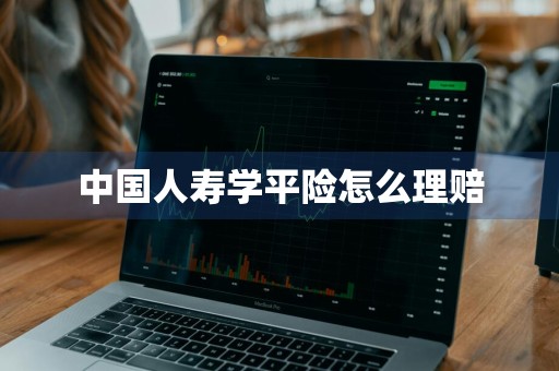 中国人寿学平险怎么理赔
