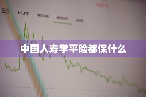 中国人寿学平险都保什么