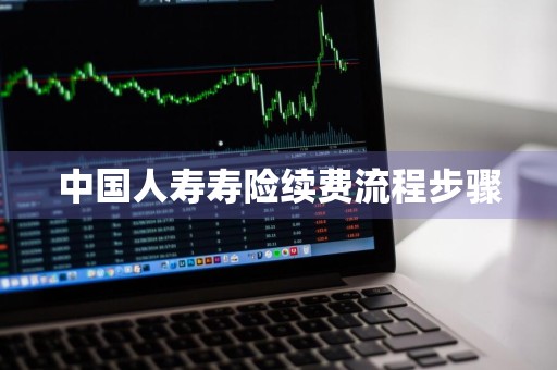 中国人寿寿险续费流程步骤