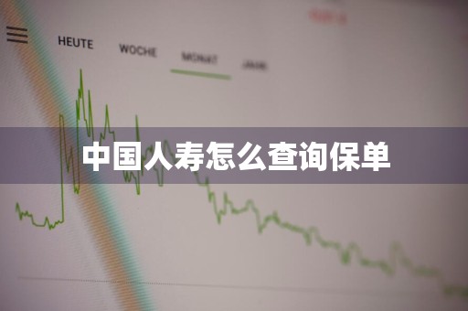 中国人寿怎么查询保单