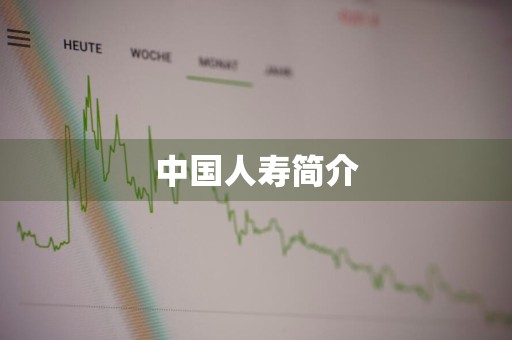 中国人寿简介