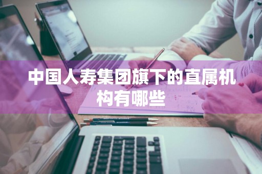 中国人寿集团旗下的直属机构有哪些