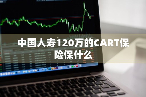 中国人寿120万的CART保险保什么