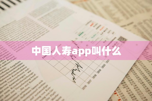 中国人寿app叫什么