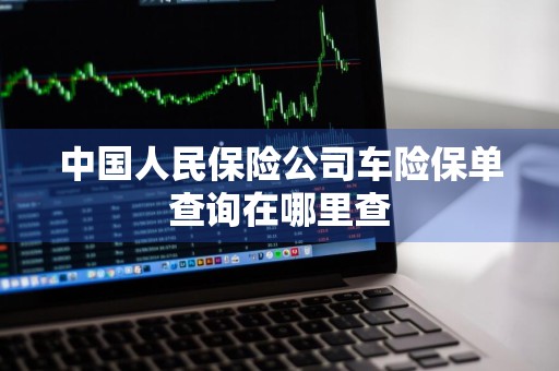 中国人民保险公司车险保单查询在哪里查