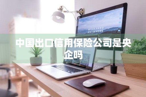 中国出口信用保险公司是央企吗