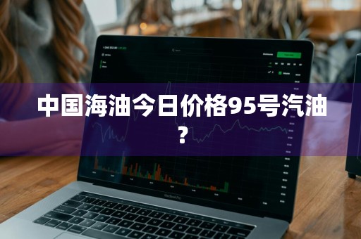 中国海油今日价格95号汽油？