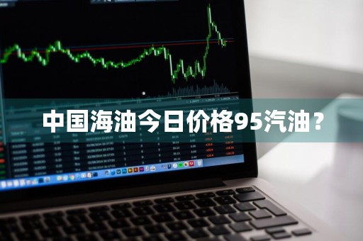 中国海油今日价格95汽油？