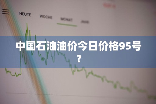 中国石油油价今日价格95号？