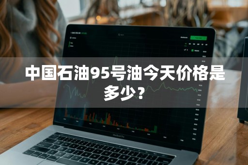 中国石油95号油今天价格是多少？