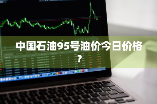 中国石油95号油价今日价格？
