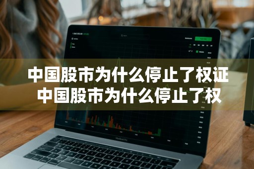 中国股市为什么停止了权证 中国股市为什么停止了权证交易