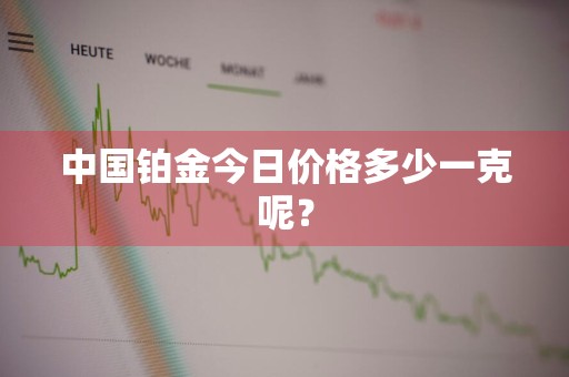 中国铂金今日价格多少一克呢？