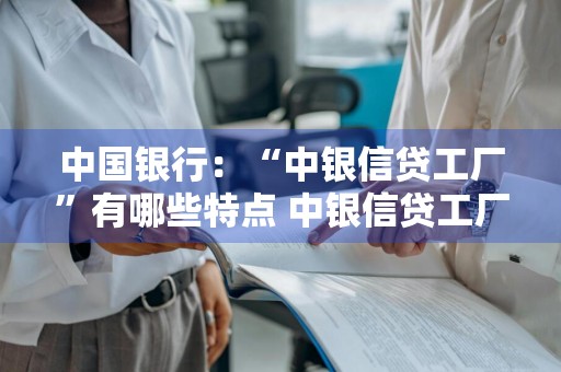 中国银行：“中银信贷工厂”有哪些特点 中银信贷工厂 特点