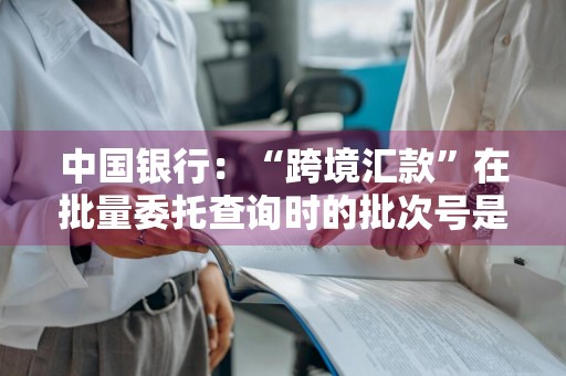 中国银行：“跨境汇款”在批量委托查询时的批次号是我自己定义的吗