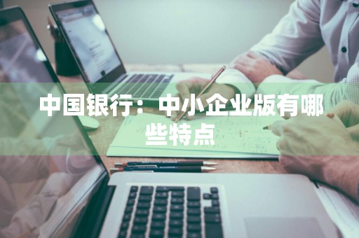 中国银行：中小企业版有哪些特点