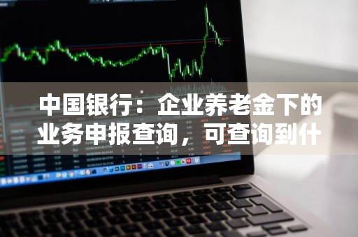 中国银行：企业养老金下的业务申报查询，可查询到什么内容
