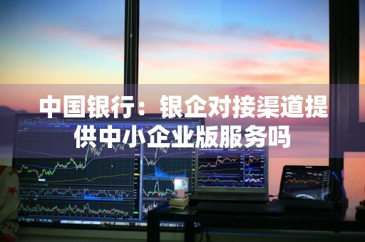 中国银行：银企对接渠道提供中小企业版服务吗