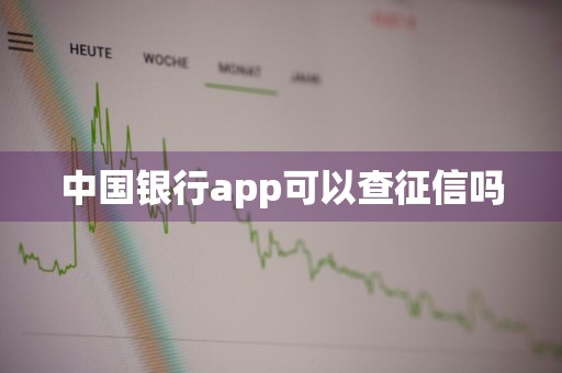 中国银行app可以查征信吗