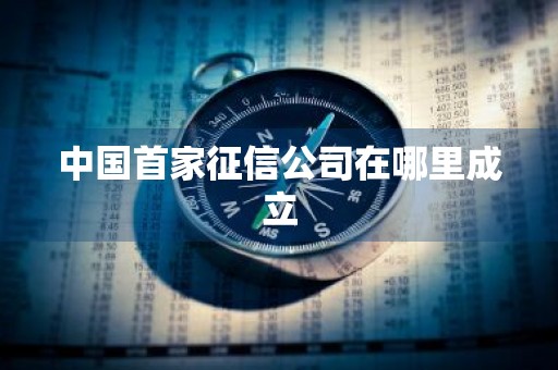 中国首家征信公司在哪里成立