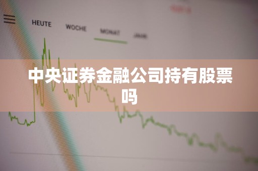 中央证券金融公司持有股票吗