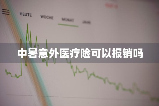 中暑意外医疗险可以报销吗