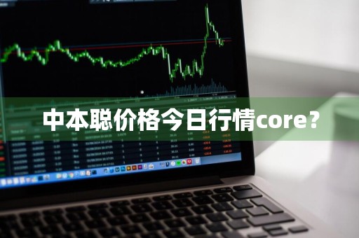 中本聪价格今日行情core？