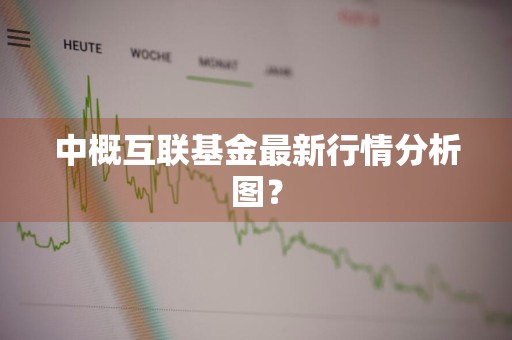 中概互联基金最新行情分析图？