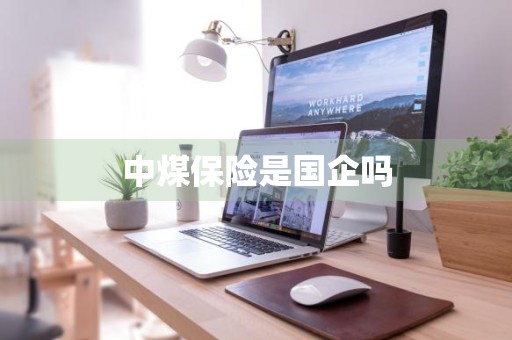 中煤保险是国企吗