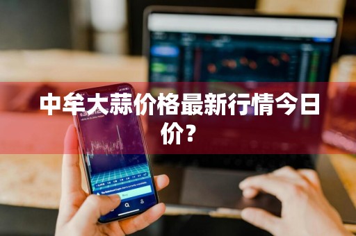 中牟大蒜价格最新行情今日价？