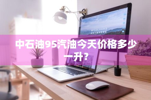 中石油95汽油今天价格多少一升？
