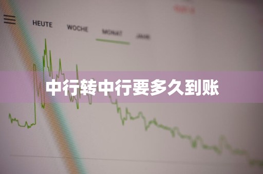 中行转中行要多久到账
