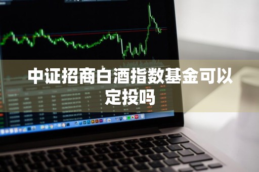 中证招商白酒指数基金可以定投吗