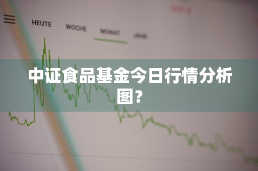 中证食品基金今日行情分析图？