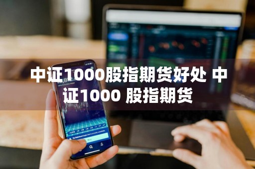 中证1000股指期货好处 中证1000 股指期货