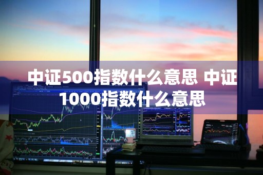 中证500指数什么意思 中证1000指数什么意思