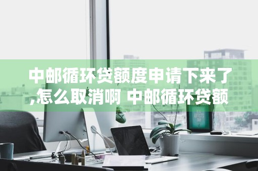 中邮循环贷额度申请下来了,怎么取消啊 中邮循环贷额度申请下来了,怎么取消啊
