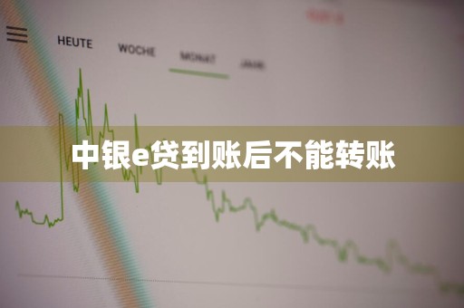 中银e贷到账后不能转账