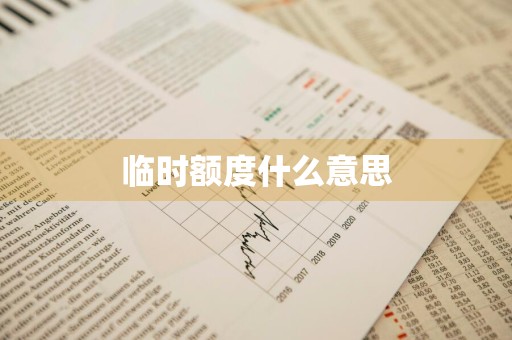 临时额度什么意思