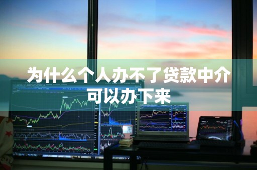 为什么个人办不了贷款中介可以办下来