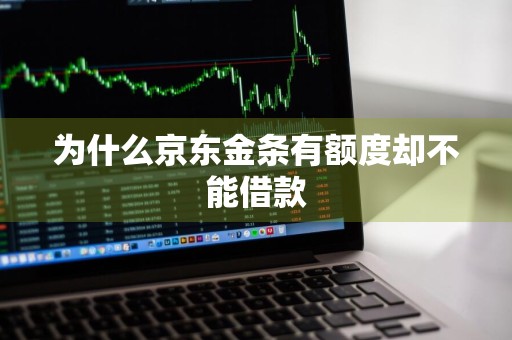 为什么京东金条有额度却不能借款